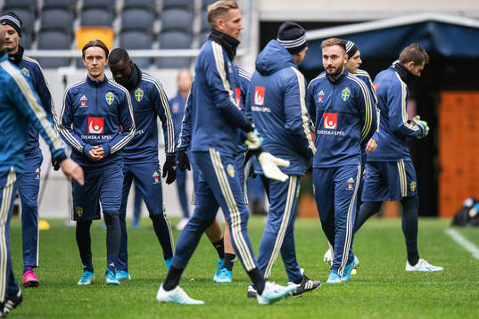 Muamer Tankovic of the Swedish national football team