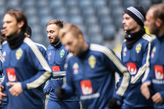 Muamer Tankovic of the Swedish national football team
