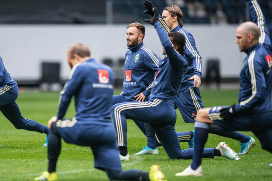 Muamer Tankovic of the Swedish national football team