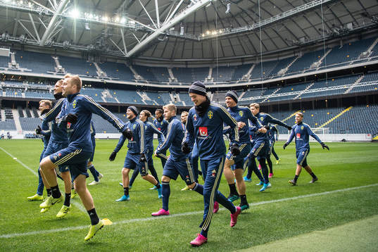 Sebastian Larsson and Mikael Lustig of the Swedish national