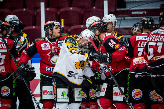 Bråk mellan Malmö Redhawks Fredrik Händemark och Jesper