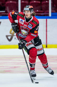 Malmö Redhawks Malte Setkov