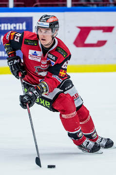 Malmö Redhawks Fredrik Händemark