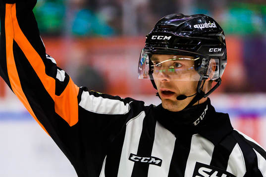 Domare Mikael Andersson