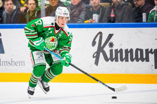 Rögles Leon Bristedt