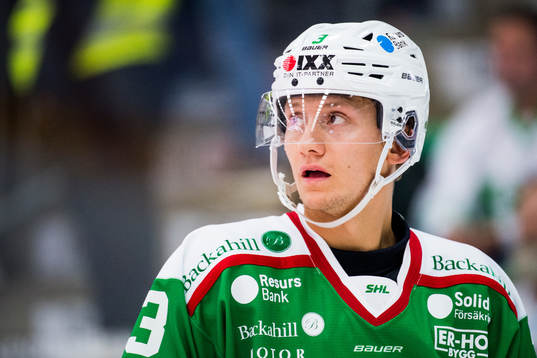Rögles Daniel Bertov