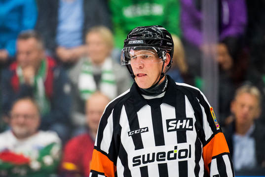 Domare Morgan Johansson