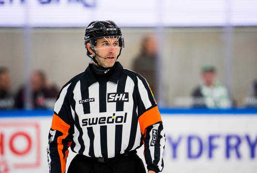 Domare Linus Öhlund