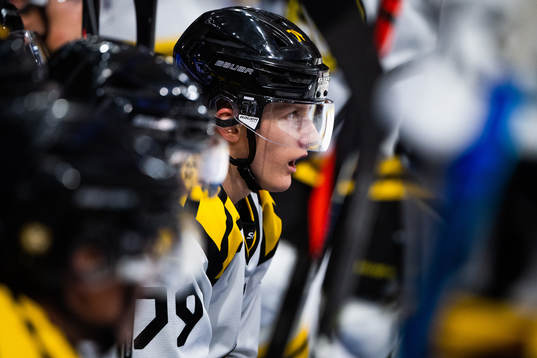 Brynäs Daniel Mannberg deppar