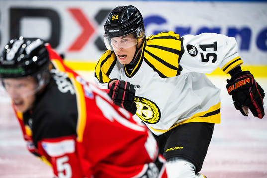 Brynäs Tomi Sallinen