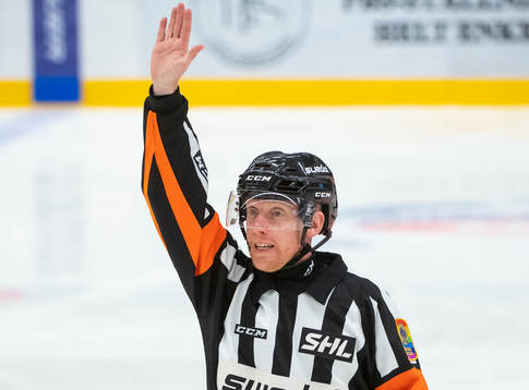Domare Mikael Holm