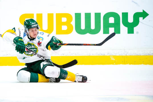 Björklövens Erik Rainersson