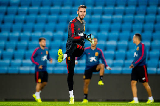 Goalkeeper David de Gea of Spain