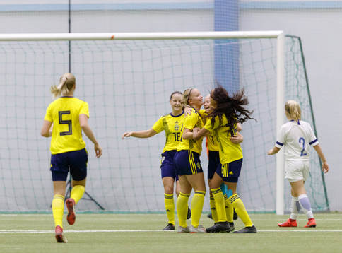 Team Sweden celebrating goal