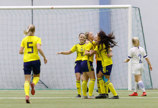 Team Sweden celebrating goal