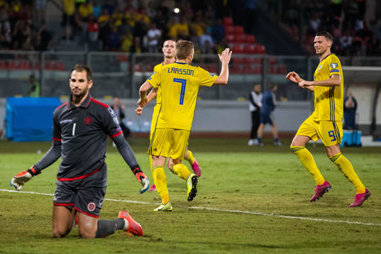 Sebastian Larsson and Marcus Berg of Sweden celebrate