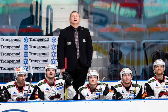 Malmö Redhawks assisterande tränare Jesper Mattsson deppar