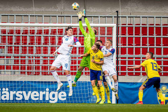 Willum Thor Willumsson of Iceland and Goalkeeper Pontus