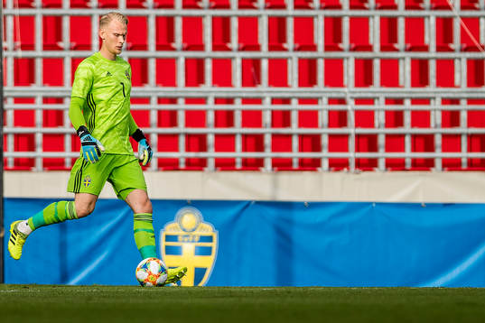 Goalkeeper Pontus Dahlberg  of Sweden