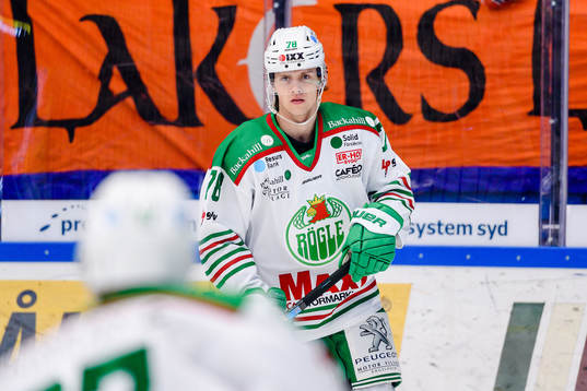 Rögles Dominik Bokk