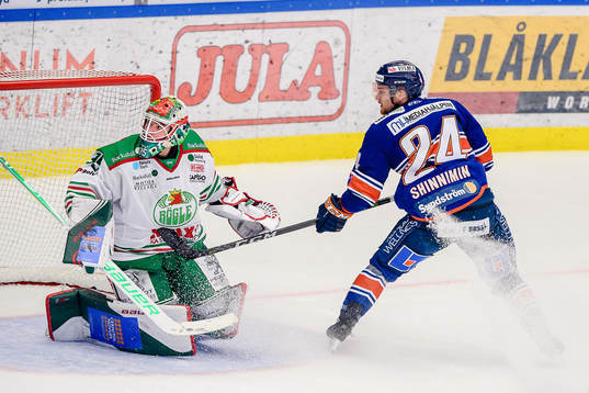 Rögles målvakt Roman Will och Växjös Brendan Shinnimin