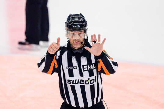 Domare Mikael Nord