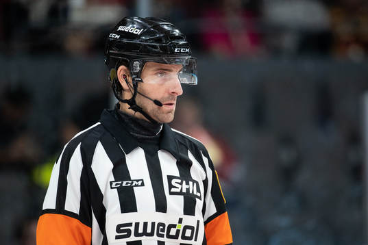 Domare Mikael Sjöqvist