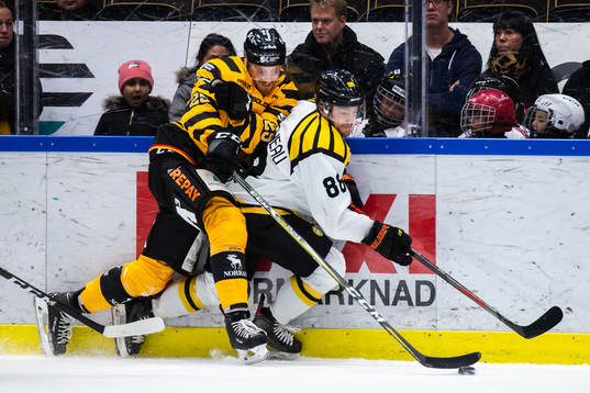Skellefteås Pontus Widerström och Brynäs Jaedon