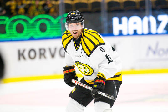 Brynäs Anton Rödin