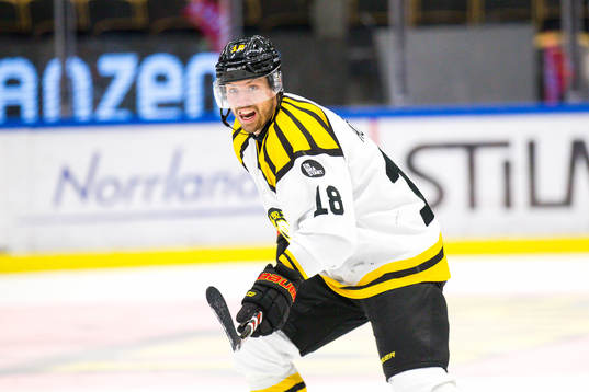 Brynäs Anton Rödin