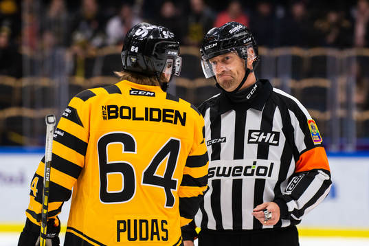 Domare Sören Persson