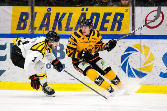 Skellefteås Rickard Hugg