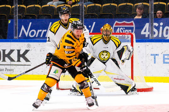 Brynäs målvakt Samuel Ersson