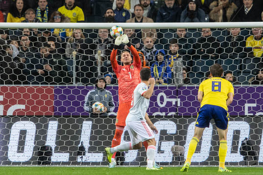 goalkeeper Robin Olsen of Sweden