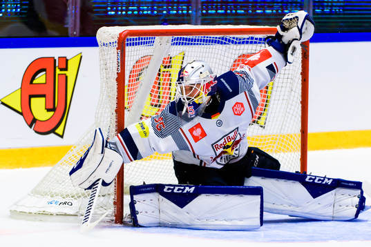 goalkeeper Kevin Reich of Red Bull Munich