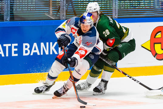 Bastian Eckl of Red Bull Munich and Linus Arnesson of