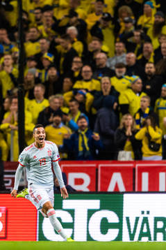 Rodrigo of Spain celebrates