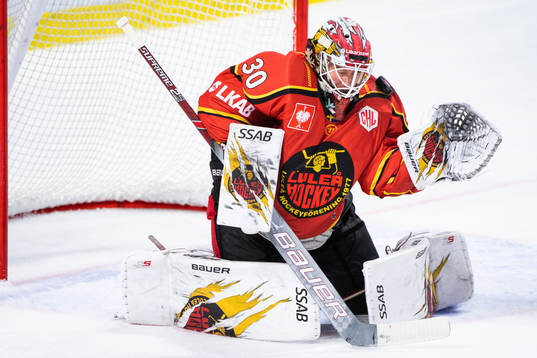 Goalkeeper David Rautio of Luleå
