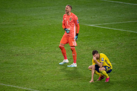 goalkeeper Robin Olsen and Marcus Berg of Sweden looks