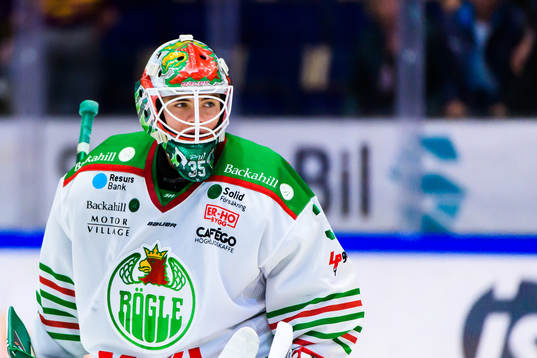 Rögles målvakt Roman Will deppar