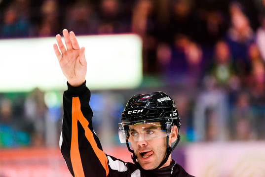 Domare Richard Magnusson
