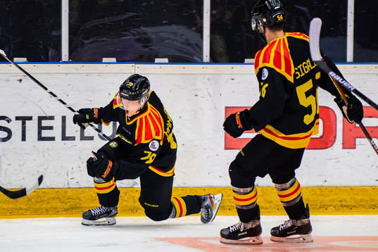 Brynäs Daniel Mannberg jublar