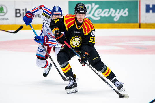 Brynäs Tomi Sallinen