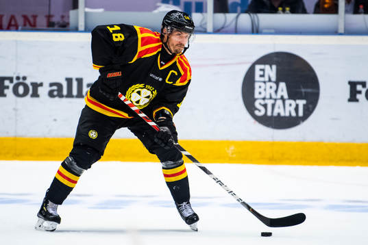 Brynäs Anton Rödin