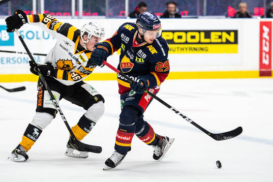 Skellefteås Rickard Hugg och Djurgårdens Sebastian