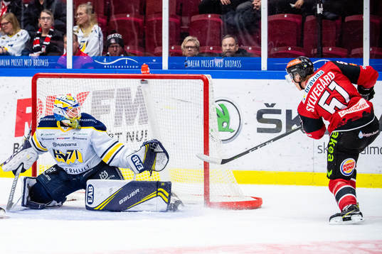 s målvakt Hugo Alnefelt