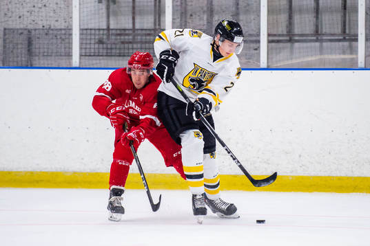 Limhamns Philip Persson och Panterns Anton Conradsen