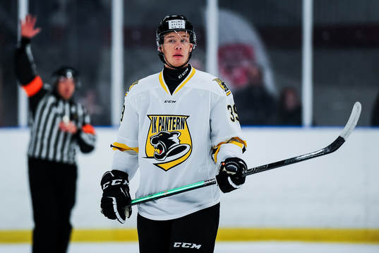 Panterns Nicolas Erb-Ekholm