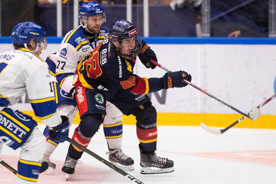 Djurgårdens Alexander Holtz