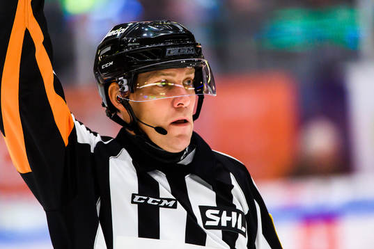 Domare Morgan Johansson
